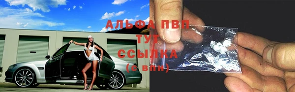 крисы Арсеньев
